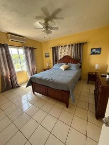 a bedroom with a bed and a ceiling fan at Superstar Living in Treasure Beach +5 photos