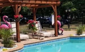 Bazén v ubytování My Paradise nebo v jeho okolí + 45 fotografií