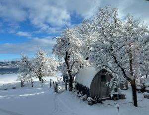 a cabin covered in snow next to some trees at B&B Friedau in Nottwil