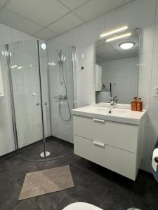 Et badeværelse på Modern small apartment + 10 billeder