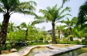 a garden with palm trees and a pond at Nattha Waree Hot Spring Resort and Spa in Ban Hua Khuan