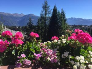 Paesaggio naturale nelle vicinanze dell'hotel