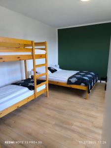 2 literas en una habitación con una pared verde en Czorsztyńskie Zacisze, en Czorsztyn