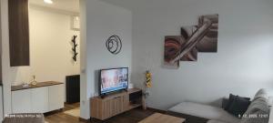 クラグイェヴァツにあるSunshine III Apartmentのソファと薄型テレビのあるリビングルーム