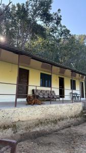 ein Hund, der vor einem Gebäude auf dem Boden liegt in der Unterkunft Nature village resort in Rishikesh