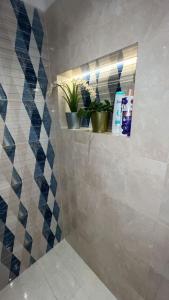 a bathroom with potted plants on a shelf at Doki sky suite in Cairo +67 photos