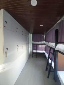 een rij stapelbedden in een kamer met paarse en witte muren bij Fernica Boarding House in Carmona