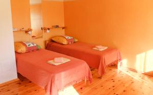2 Betten in einem Zimmer mit orangefarbenen Wänden in der Unterkunft Coastal Home Muini Ūši in Kolka