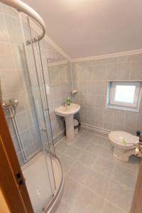 La salle de bains est pourvue d'une douche, d'un lavabo et de toilettes. dans l'établissement Cazare FAN, à Alba Iulia