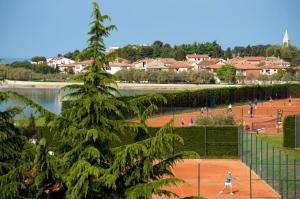 Fotografia z galérie ubytovania Aminess Sirena - Holiday homes Classic v Novigrad Istria