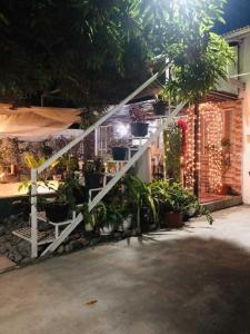 un escalier blanc avec des plantes en pot à côté d'un bâtiment dans l'établissement Del Mar Residence, à Suizo