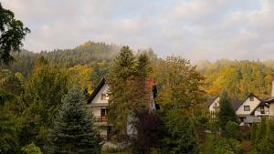 Villa Hasaba في كروتشيينكو: منزل في وسط غابة من الأشجار