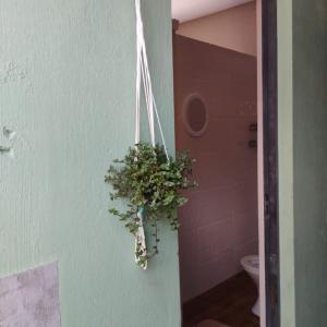 a plant hanging on a wall in a bathroom at Hostel São Francisco 3 in Votorantim