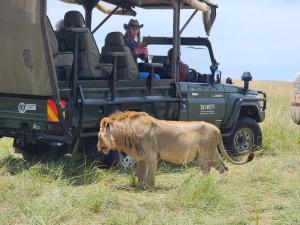 Zvířata v chaty nebo okolí + 10 fotografií