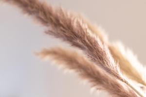 Ảnh trong thư viện ảnh của Studio 4 ở Bad Schallerbach +16 ảnh