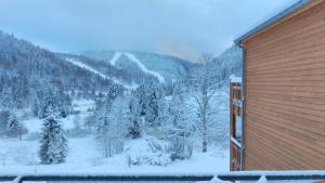 Cette maison offre une vue sur une montagne enneigée. dans l'établissement Rev2 Montagne, à La Bresse 7 autres photos
