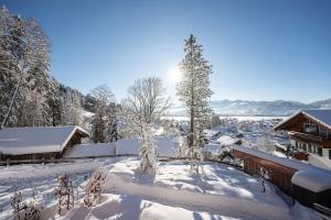 Příroda nedaleko penzionu