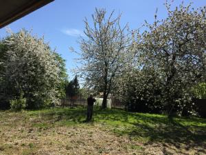 Κήπος έξω από το Appart