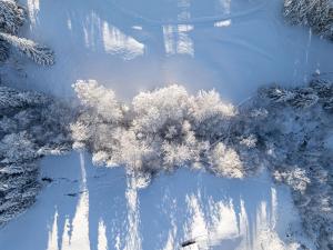 Waldchalets & Ferienwohnungen Allgäu v zimě