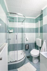 Un baño con bañera, inodoro y ducha. en Apartments Orel, en Mozirje