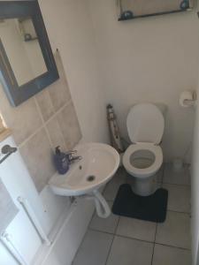 een witte badkamer met een toilet en een wastafel bij Braai and chill getaway in Goodwood