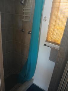een douche met een blauw douchegordijn in een badkamer bij Braai and chill getaway in Goodwood +1 foto