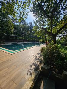 Un patio trasero con piscina y un árbol. en Swami Greens - Private Peaceful Staycation, en Jāmb