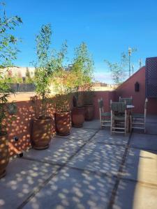 Ảnh trong thư viện ảnh của Riad MsHolidays bassin privatisé Marrakech ở Marrakech +55 ảnh