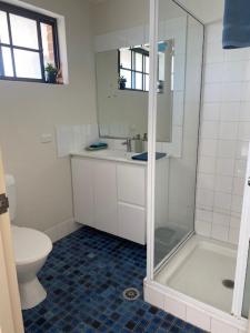 a bathroom with a shower and a toilet at Lakeside Lodge Motel in Lismore +25 photos