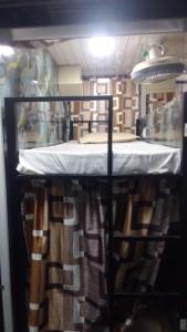 Etagenbett in einem Zimmer mit einem Tisch in der Unterkunft Nithyanand Cabinstay dormitory in Mumbai