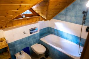 a bathroom with a toilet and a bath tub at Chill on Hill - Szczyrk in Szczyrk +62 photos