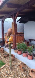 a display of shoes and plants in a garden at Vándor Kakas Vendégház dézsafürdővel in Recsk