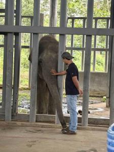 Hosté ubytování Greentraveller Buon Ma Thuot Homestay