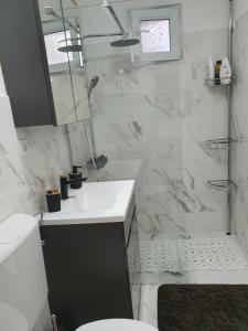 a bathroom with a shower and a sink and a toilet at Gaby's Apartment in Ocna-Mureşului +4 photos