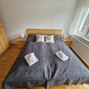Un dormitorio con una cama grande con dos almohadas. en Sankt Johannerhof, en Ternitz