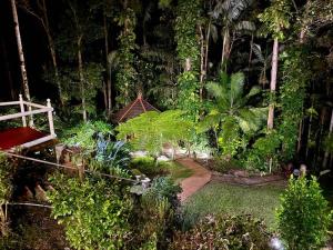 a garden with plants and trees and a bench at The Nature Nook in Upper Mudgeeraba +64 photos
