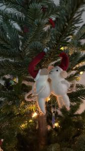 two christmas ornaments are hanging on a christmas tree at Martha's House in Alba Iulia