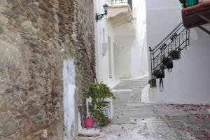 an alley with white buildings and plants on the ground at Bougainvillea in Andros