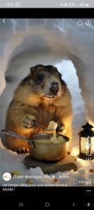 Φωτογραφία από το άλμπουμ του Chalet 126 m² PRALOUP σε Uvernet