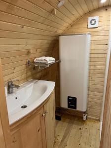 ein Bad mit einem Waschbecken und einem Kühlschrank in der Unterkunft Roulotte avec spa privé in Villé