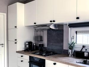 Køkken eller tekøkken på Süsel Seeparx Ferienhaus Seehütte 25 + 11 billeder