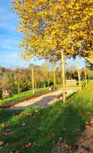 Κήπος έξω από το Domaine des Granges