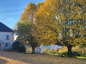 Το κτήριο όπου στεγάζεται  το bed & breakfast +1 φωτογραφίες