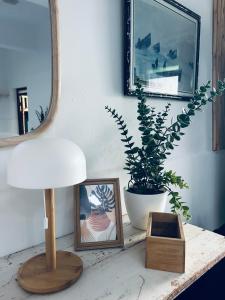 a table with a lamp and a picture and a plant at Surf Sun Sea Lodge in Wassane