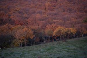 Φυσικό τοπίο κοντά σε αυτό το ξενοδοχείο