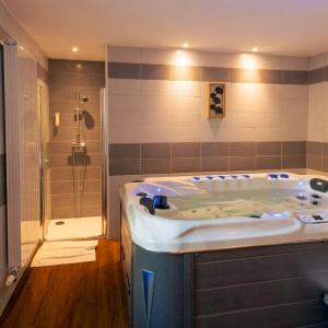 a large bathroom with a tub and a shower at Chez Jade et Zoé in Ortholès