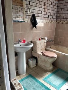 a bathroom with a toilet and a sink and a tub at St Lucia Wilds in St Lucia