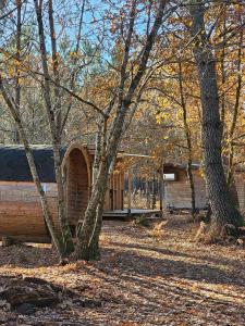 Fotografie z fotogalerie ubytování Les Chouchous du Garthieu v destinaci Carcans