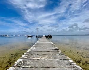 Příroda nedaleko bed and breakfast + 33 fotografií