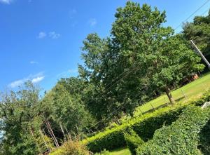 a park with trees and bushes on a sunny day at Gold in Święta Katarzyna